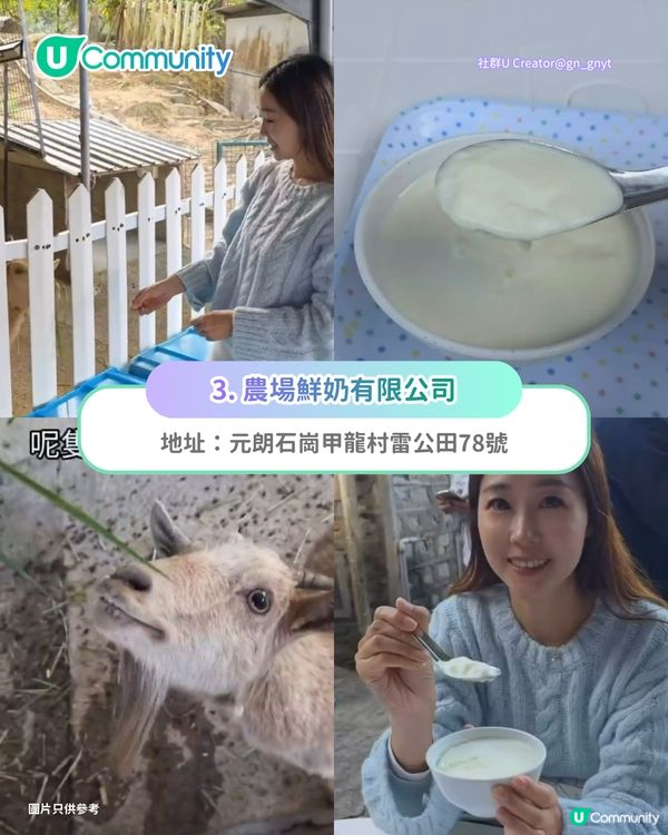 【親子好去處2026】香港8大親子農莊🌻餵食草泥馬／向日葵花海／自家製農場牛奶