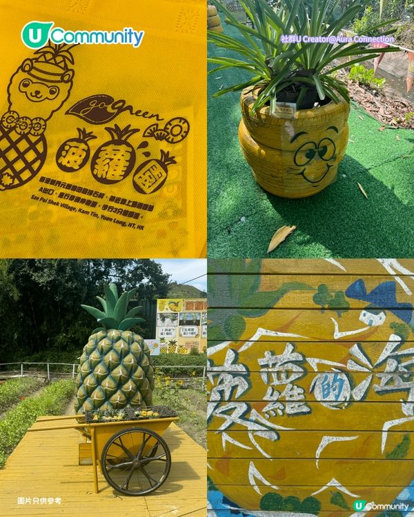 【親子好去處2026】香港8大親子農莊🌻餵食草泥馬／向日葵花海／自家製農場牛奶