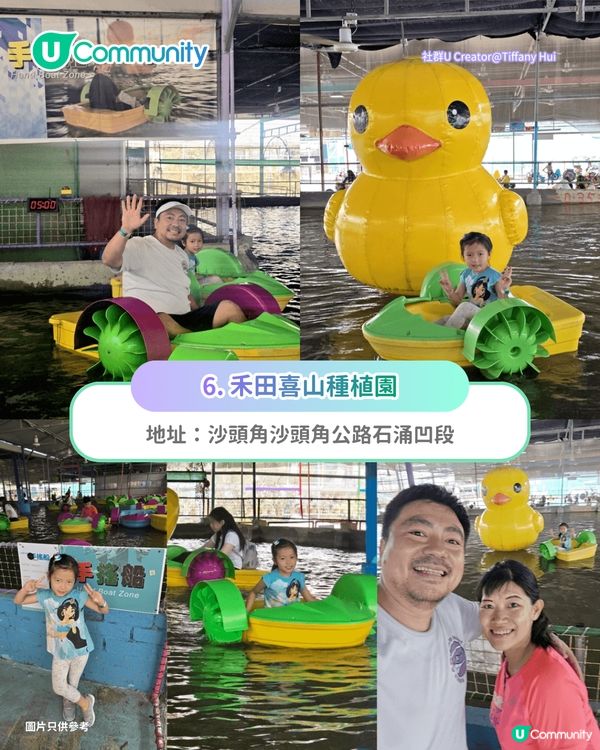 【親子好去處2026】香港8大親子農莊🌻餵食草泥馬／向日葵花海／自家製農場牛奶