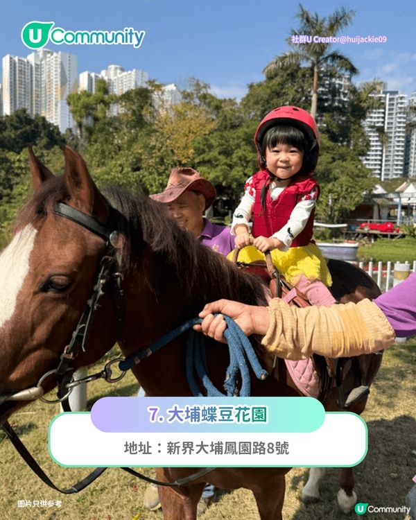 【親子好去處2026】香港8大親子農莊🌻餵食草泥馬／向日葵花海／自家製農場牛奶