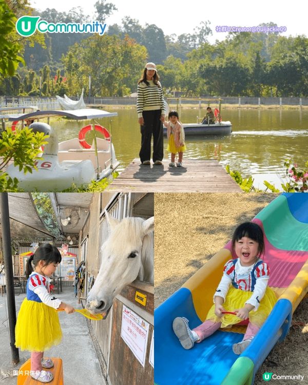 【親子好去處2026】香港8大親子農莊🌻餵食草泥馬／向日葵花海／自家製農場牛奶