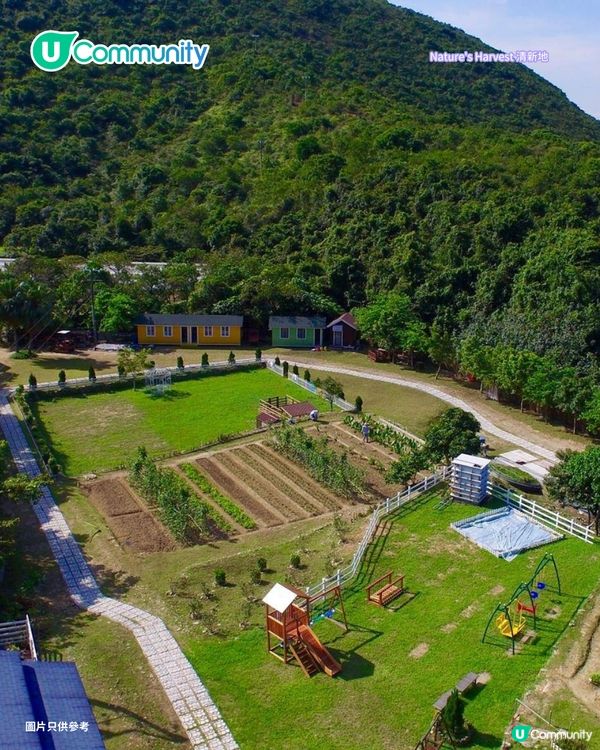 【親子好去處2026】香港8大親子農莊🌻餵食草泥馬／向日葵花海／自家製農場牛奶
