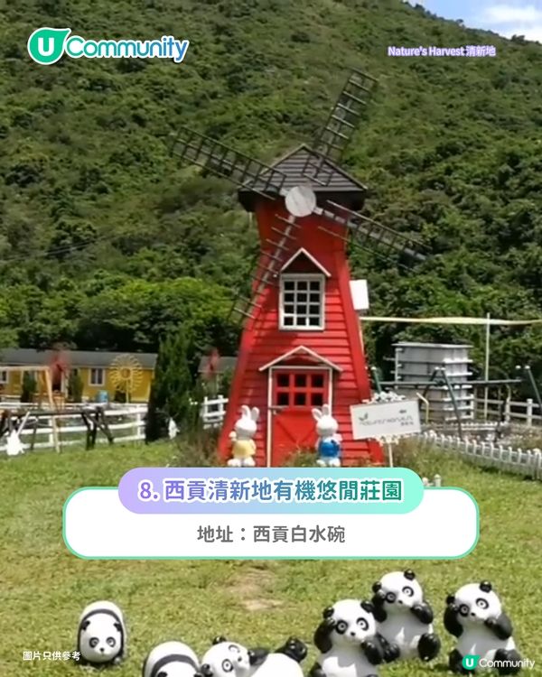【親子好去處2026】香港8大親子農莊🌻餵食草泥馬／向日葵花海／自家製農場牛奶