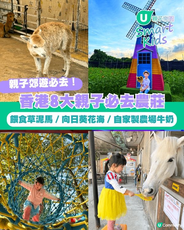 【親子好去處2026】香港8大親子農莊🌻餵食草泥馬／向日葵花海／自家製農場牛奶