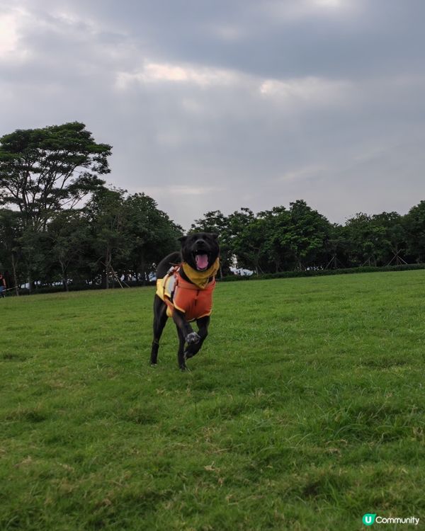 曬日落🌅，勁型仔！