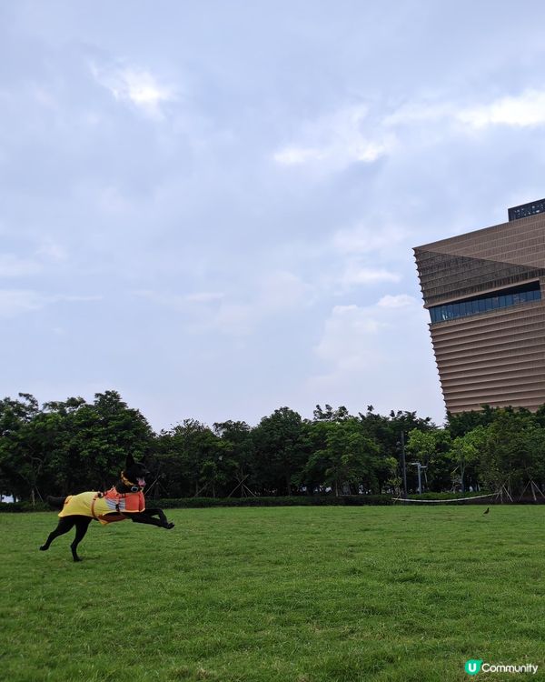 曬日落🌅，勁型仔！