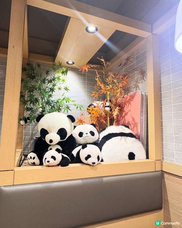 被熊貓包圍的晚餐🐼
