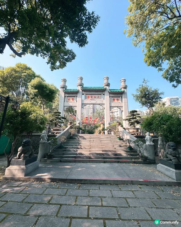 連理樹🌳 的淒美傳說😭 