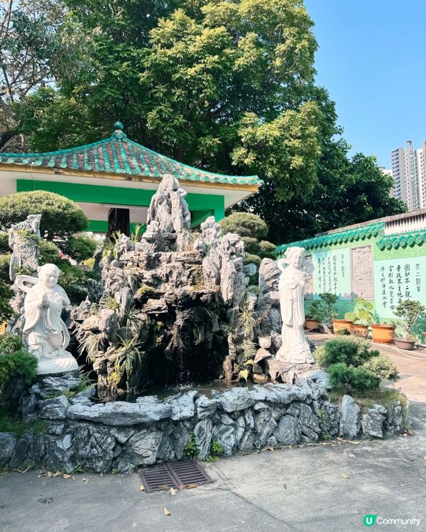 連理樹🌳 的淒美傳說😭 