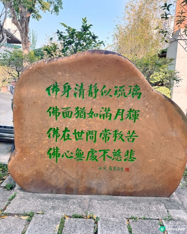 連理樹🌳 的淒美傳說😭 