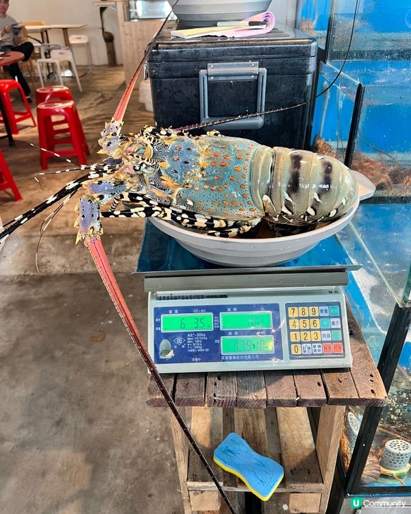 台北北海岸懸崖海景餐廳！270度看龜山島+海鮮浮誇擺盤🌊