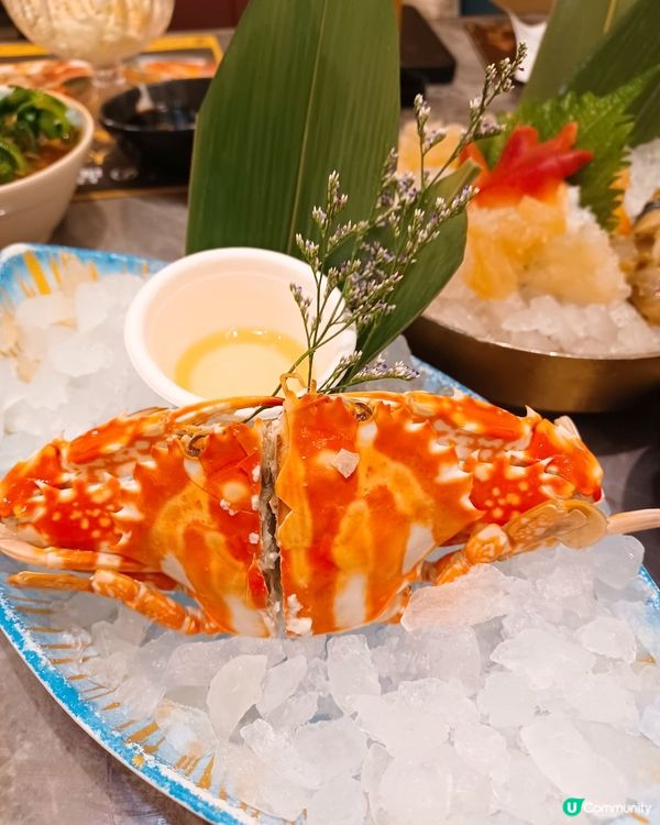 【荃灣】高CP值極大瀛喜放題🔥 必叫B餐嘆龍蝦、拖羅🦞🍣
