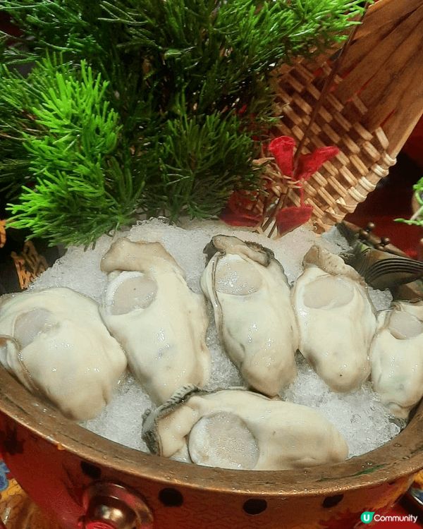 喺「大滾友」食火鍋，真係有種地道又豪邁嘅感覺 😍。湯底滾起嚟...