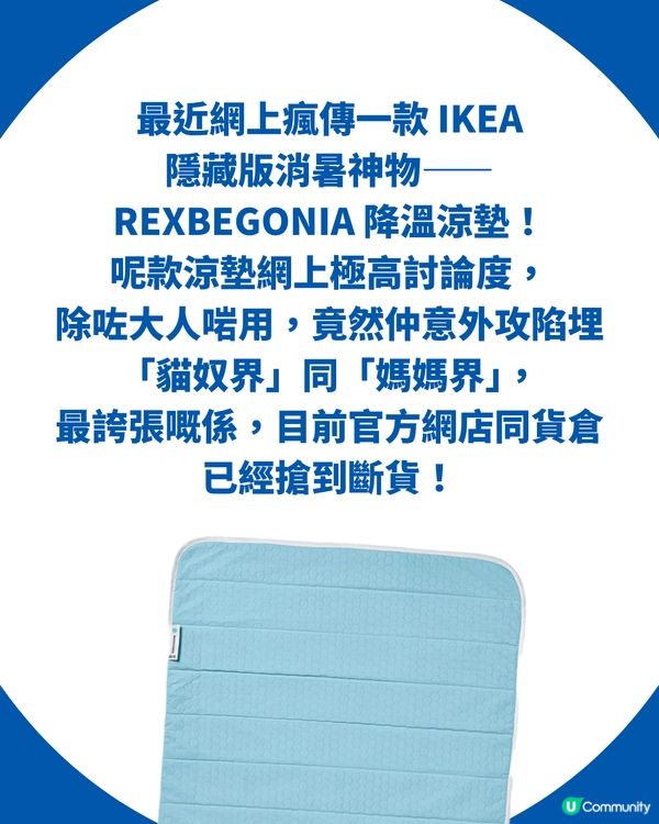 【夏日必備】IKEA $99.9「降溫神墊」全網爆紅斷貨！貓奴、媽媽界激推！附全港門市最新存貨量