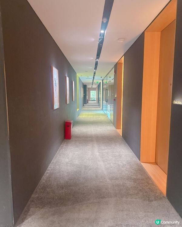 深圳放鬆遊！🤑 📍住咗呢間$500超抵酒店！🛌✨