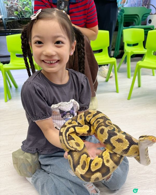 親親小寵物