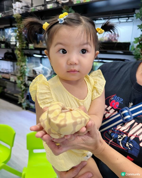 親親小寵物