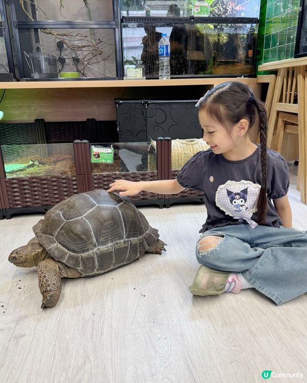 親親小寵物