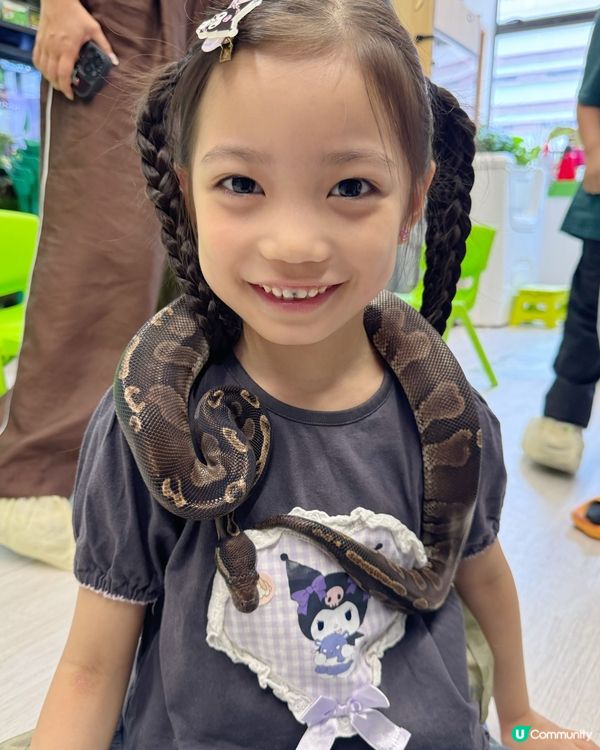 親親小寵物