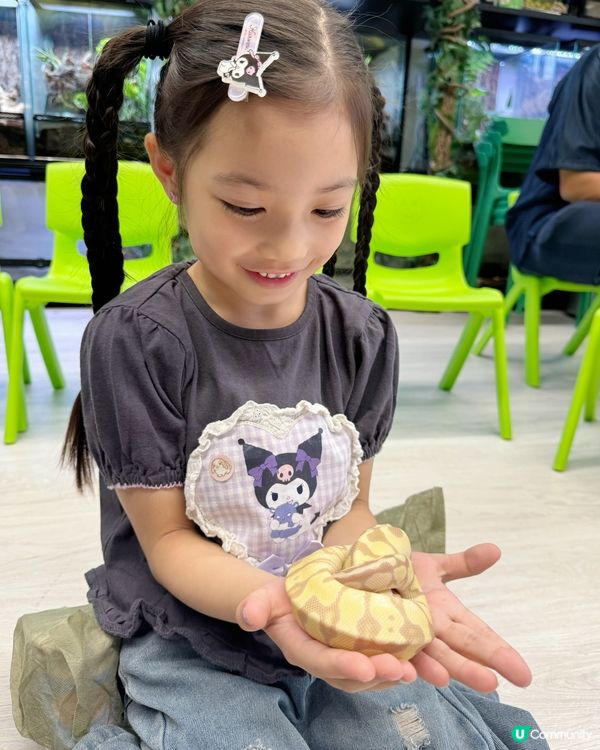 親親小寵物