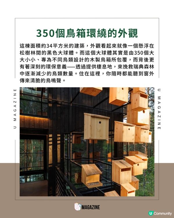 住進350個鳥巢包圍的「極光生物圈」                                                     