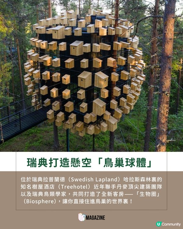 住進350個鳥巢包圍的「極光生物圈」                                                     