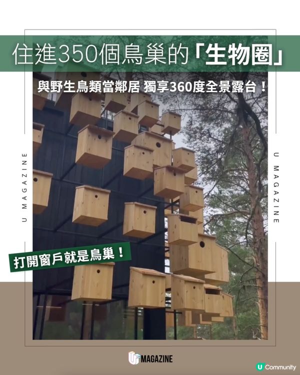住進350個鳥巢包圍的「極光生物圈」                                                     