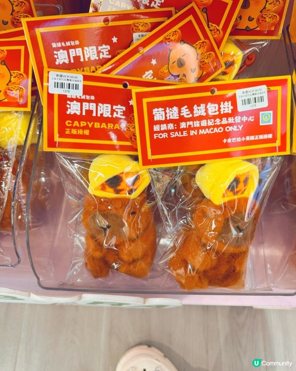 澳門星光禮品廊 🎁