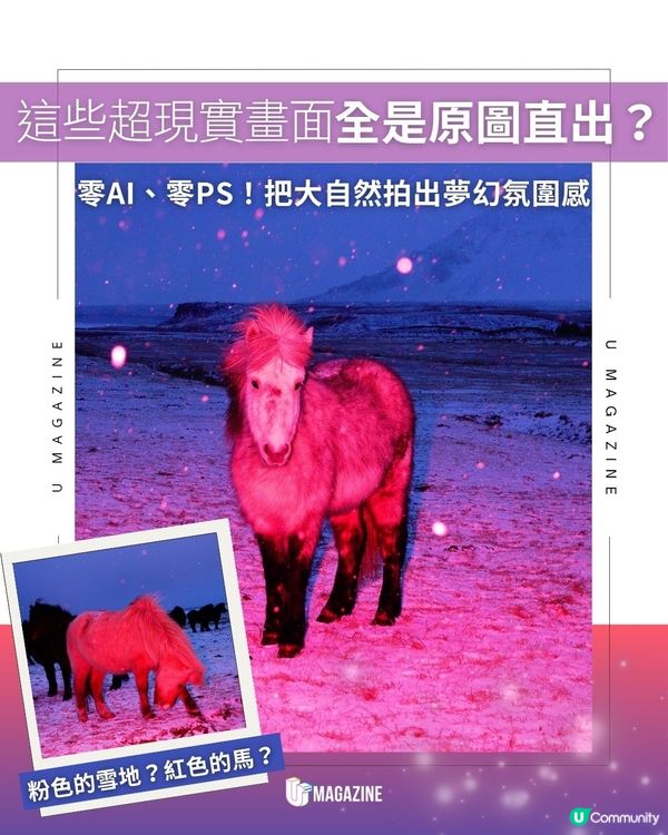 這些超現實畫面全是原圖直出？零AI、零PS！把大自然拍出夢幻氛圍感                                                    