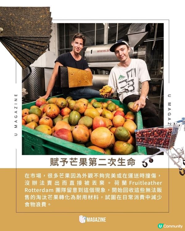 被淘汰的芒果也能變成手袋？回收滯銷水果 製作成環保皮革