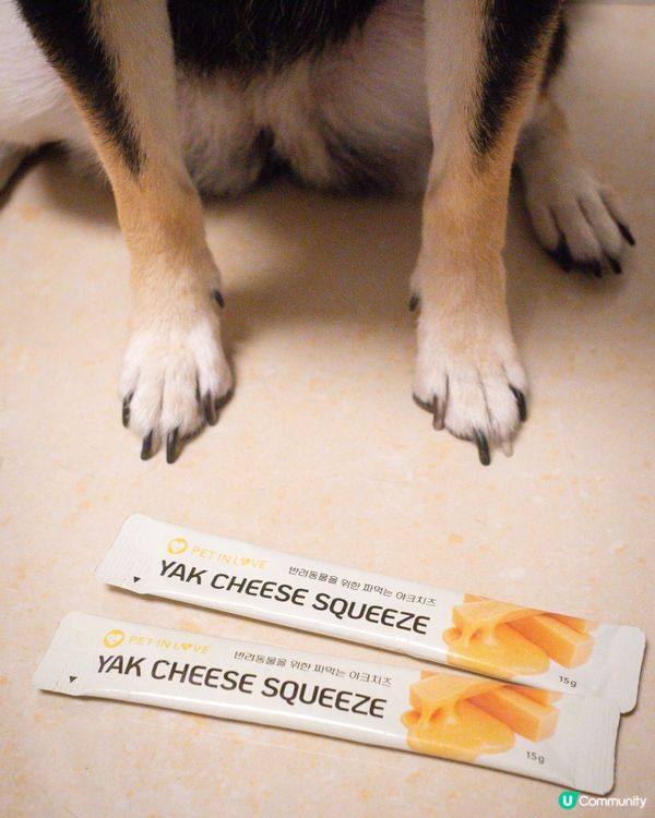 【貓狗啱食】芝士唧唧醬 🧀😋