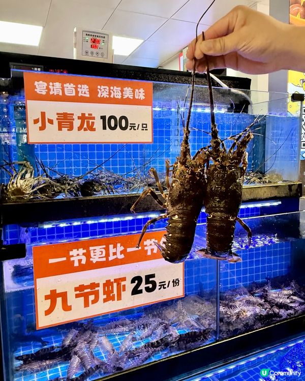 逛市集歎海鮮粥🔥🦞