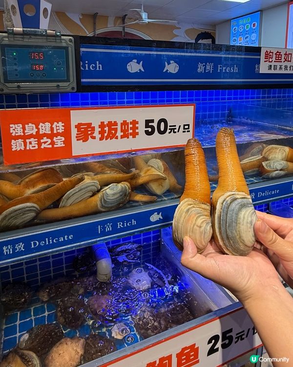 逛市集歎海鮮粥🔥🦞