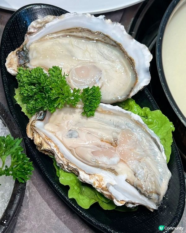 福田口岸直達‼️深圳豬肚雞爽口 - 花膠超滋潤