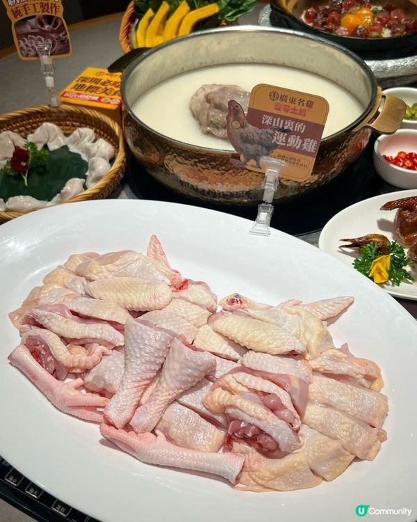 夏日滋養嘆靚湯｜順德公創意肚包佛跳牆