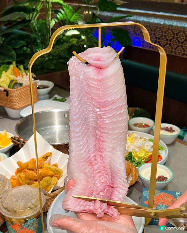 現撈現切鮮活鯇魚！深圳十多年的道地魚鍋老店