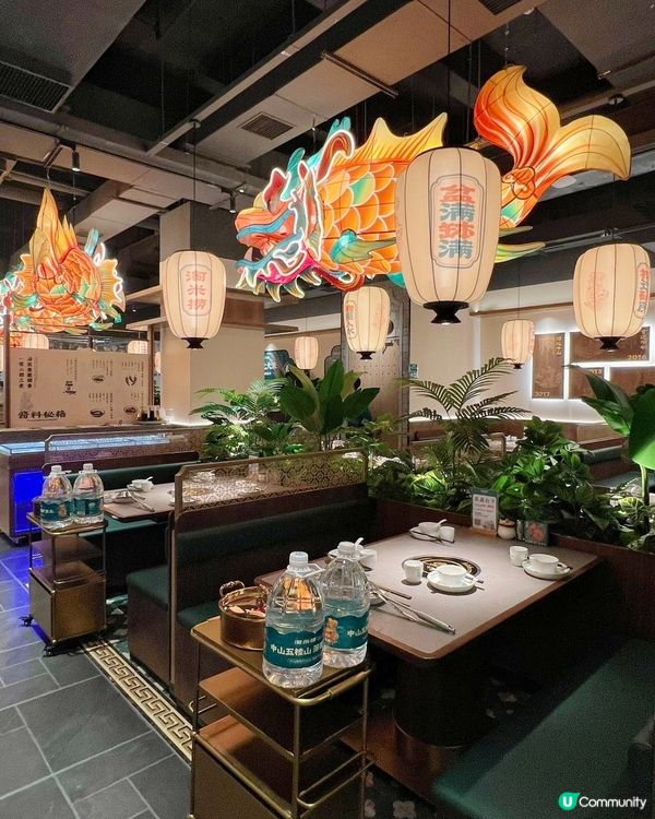 現撈現切鮮活鯇魚！深圳十多年的道地魚鍋老店