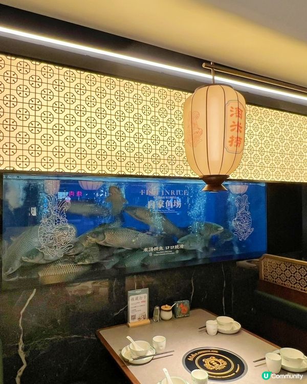 現撈現切鮮活鯇魚！深圳十多年的道地魚鍋老店