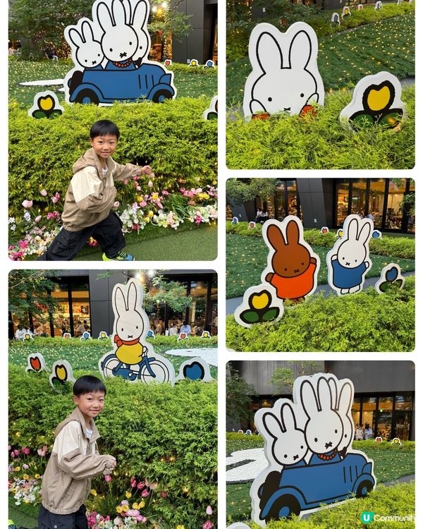 【 🌸Miffy's Joyful Garden🌸 】