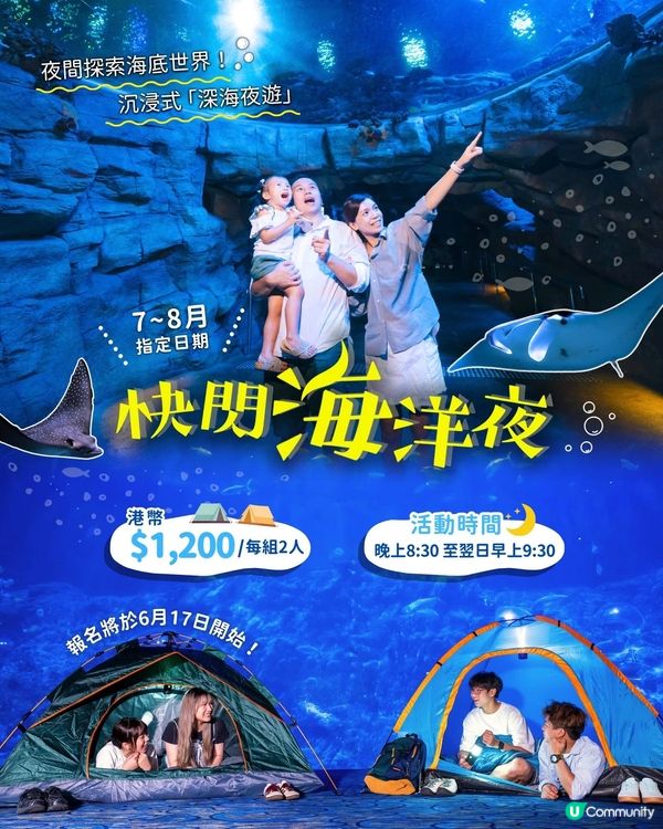 夜間探索海底世界 🐠 體驗沉浸式 ｢深海夜遊 
