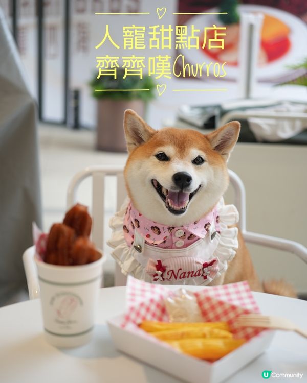 🐾人寵甜點店 ｜ 齊齊嘆 Churros✨