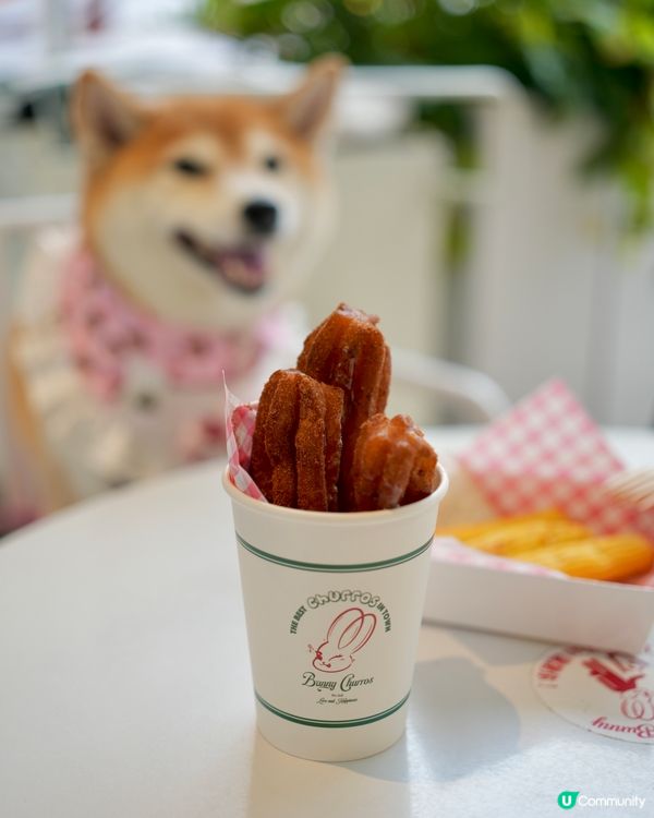 🐾人寵甜點店 ｜ 齊齊嘆 Churros✨