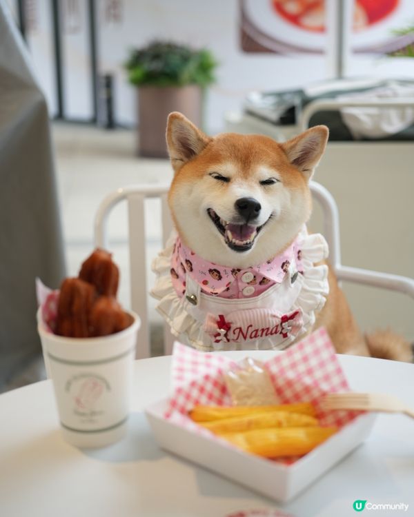 🐾人寵甜點店 ｜ 齊齊嘆 Churros✨