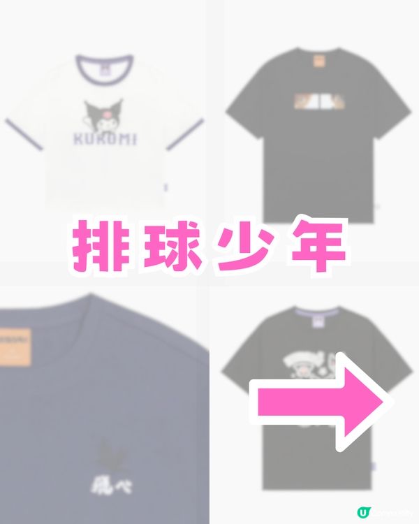 Catalog 網店熱門IP優惠攻略！Tee低至$69起!!  KUROMI/排球少年/Chiikawa