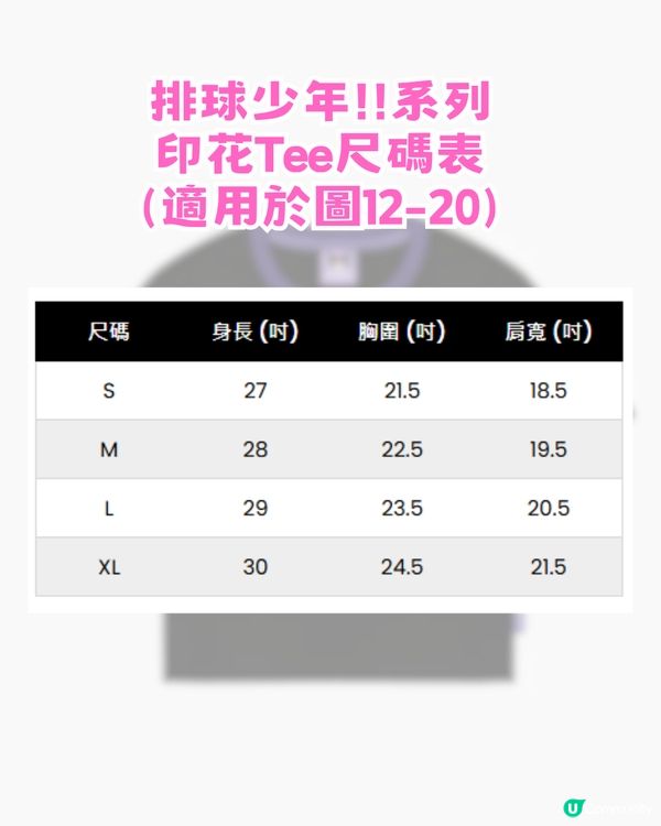Catalog 網店熱門IP優惠攻略！Tee低至$69起!!  KUROMI/排球少年/Chiikawa