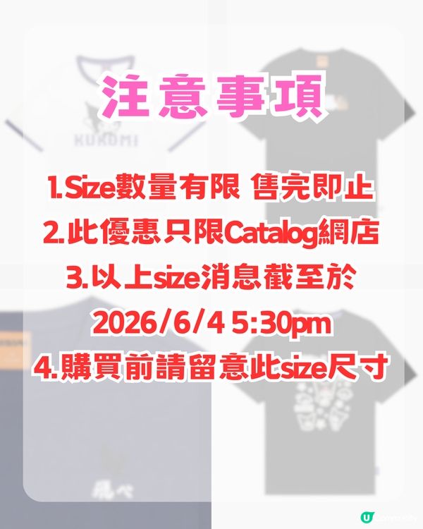 Catalog 網店熱門IP優惠攻略！Tee低至$69起!!  KUROMI/排球少年/Chiikawa