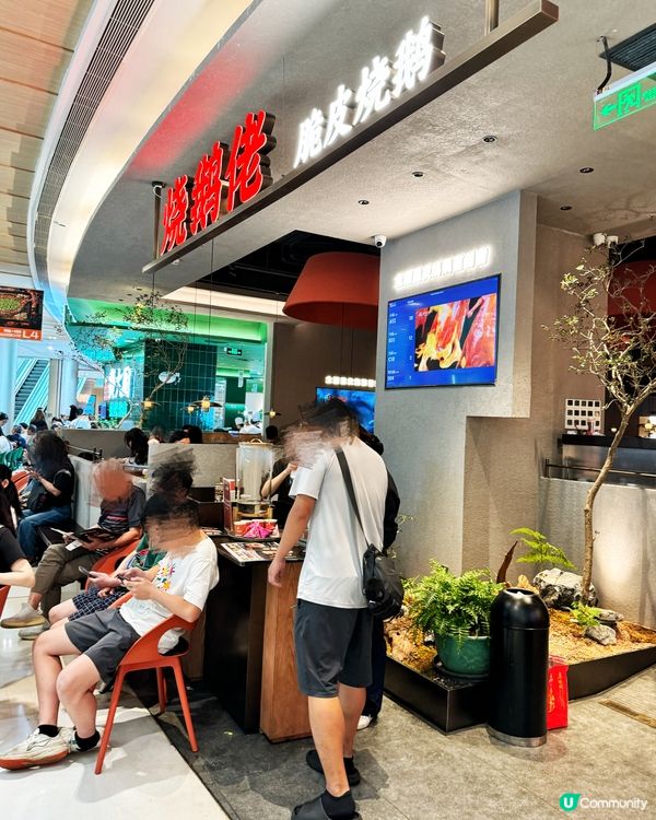 新燒鵝📍金光華🔥抵食！