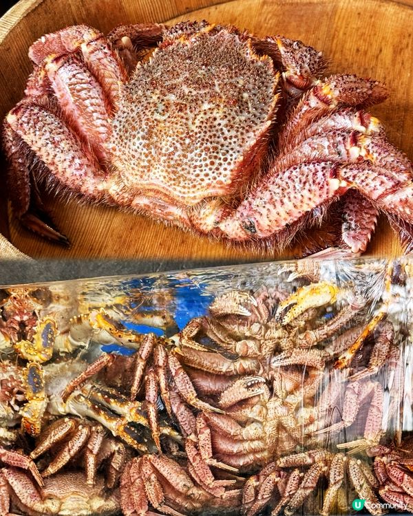 蟹宴！活蟹9食🦀😋