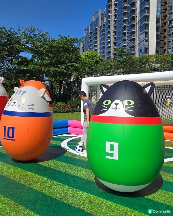 Harbour Football Fun