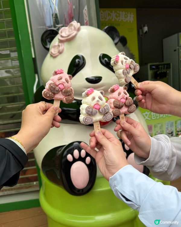成都熊貓團！🐼✨